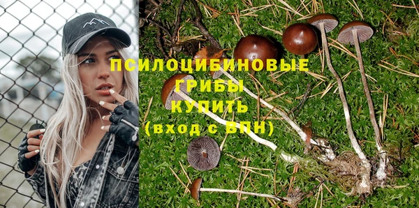 дурь Алзамай