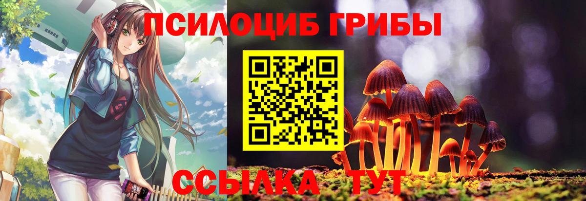 Тольятти  Галлюциногенные грибы Psilocybe  Псилоцибиновые грибы мицелий  Вход с VPN 