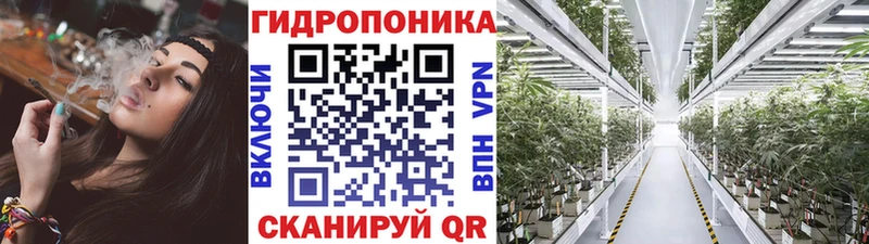 где купить наркотик  Тольятти  МАРИХУАНА гибрид 